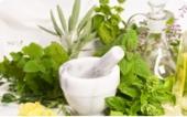 Herb Medicine in Torrance and Fullerton