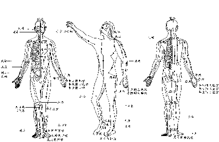 Acu Points (Acupuncture treatment in Torrance and Fullerton)