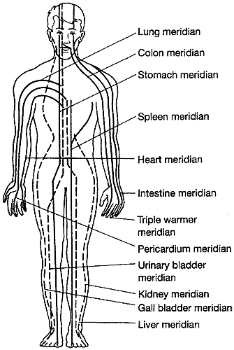 Meridians (Acupuncture treatment in Torrance and Fullerton)